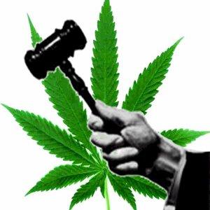 The Societal Effects Of Marijuana Legalization